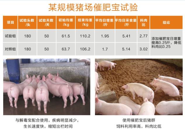 究竟什么原因导致猪生长缓慢?原因在这!